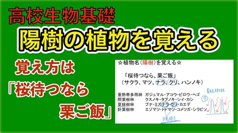 陽樹 陰樹 一覧 生物基礎|【生物基礎】第4章 植生の多様性と分布（光合成曲線・植生の遷。